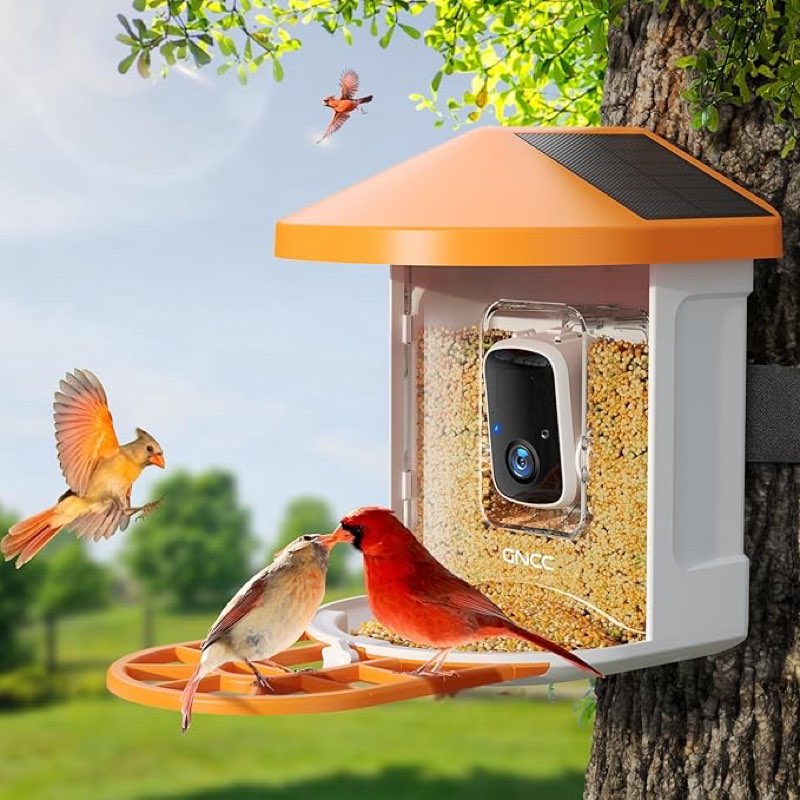 GNCC Smart Bird Feeder with Camera, 1080P Solar Wild Bird Feeders Squirrel Proof, Instant Notifications, AI Identify Bird Species, Auto Bird Video Storage, Solar & Battery Powered, Ideal Gift (B1)