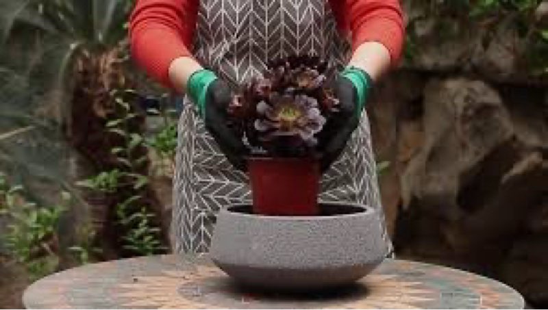 100+ bought last week origin 21 round 11.0-in w x 11.0-in l gray ceramic indoor/outdoor low bowl planter of 3 