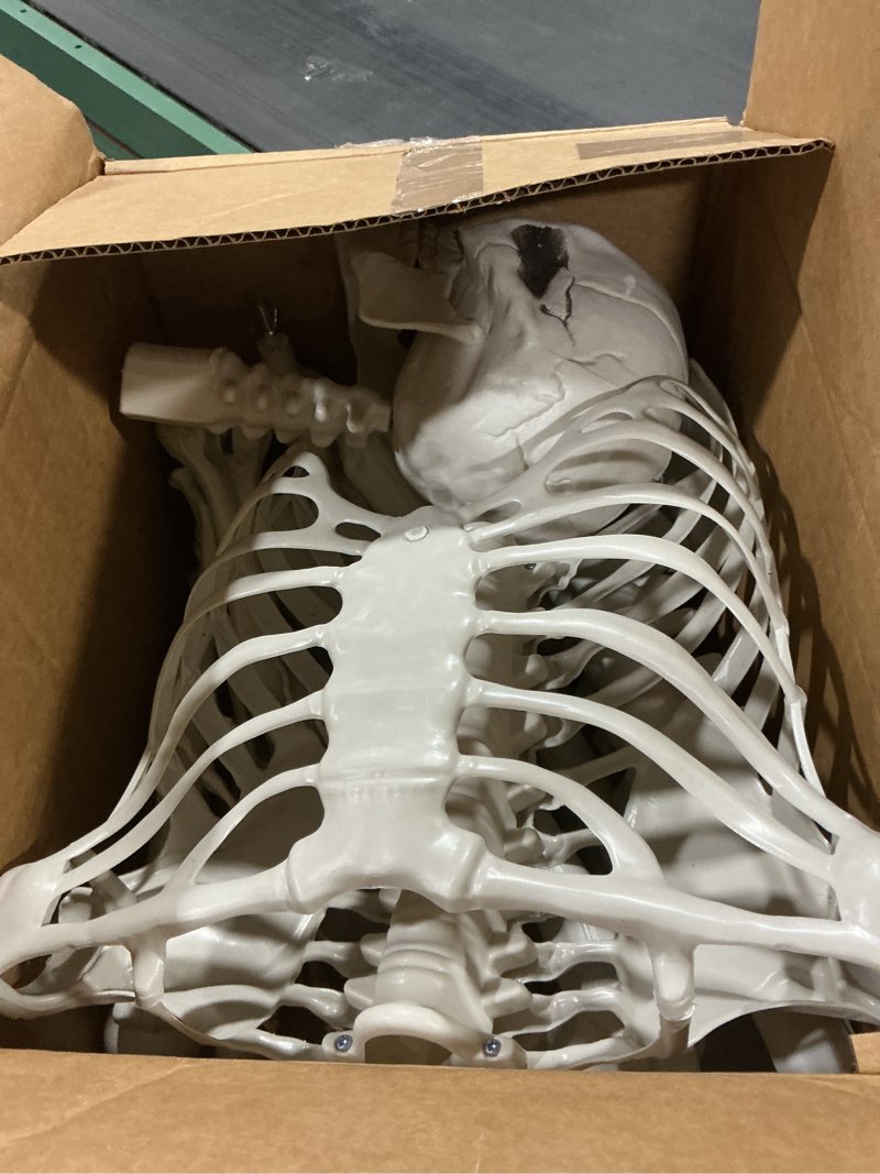 Condition photo showing Good Condition for Wocst 5.4Ft/165cm Halloween Skeleton Full Body Life Size Human Bones with Movable Joints for Indoor Outdoor Halloween Props Decorations