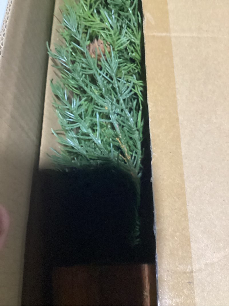 Condition photo showing As Is for Nearly Natural 3ft. Mini Cedar Pine Tree (Indoor/Outdoor)