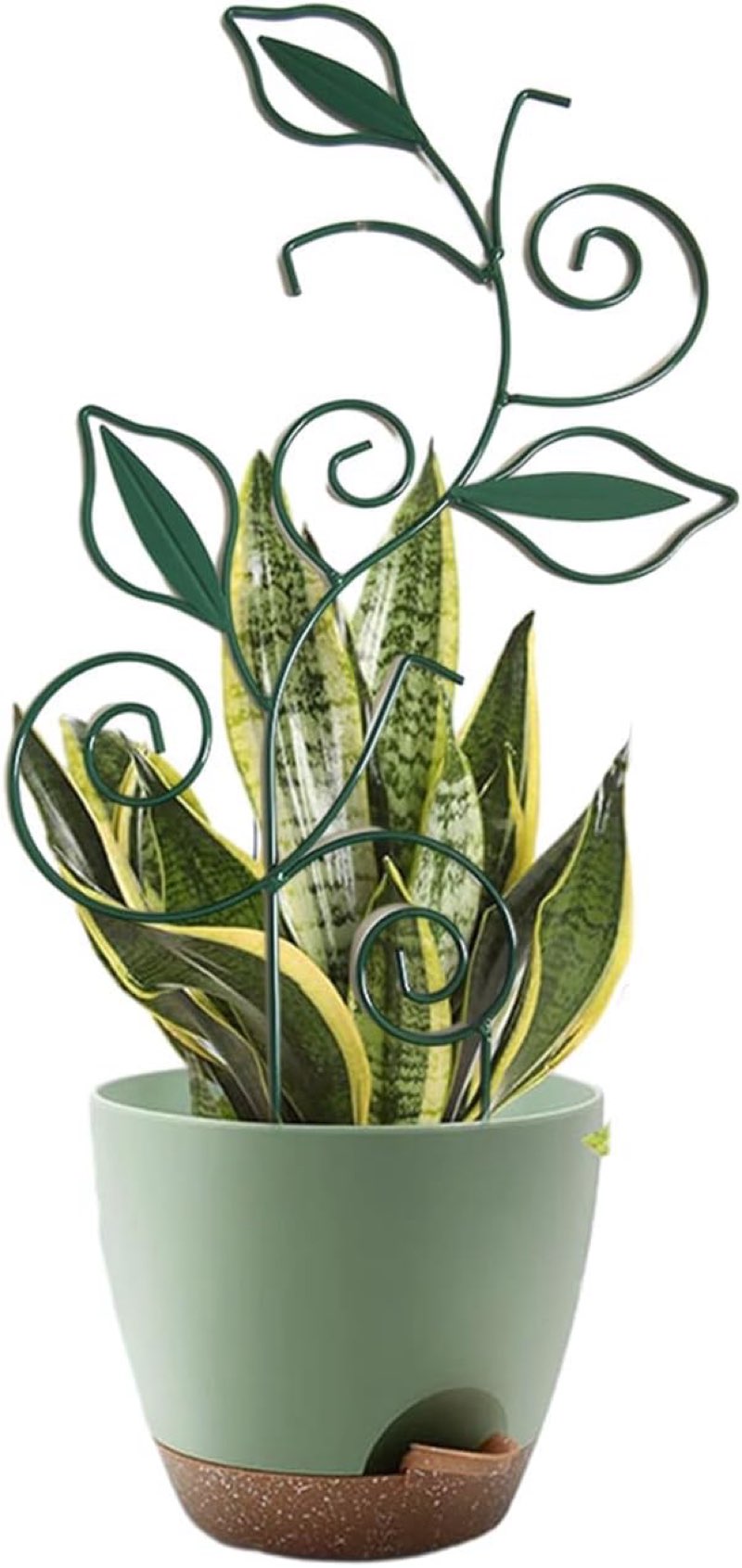 Trellis for Climbing Plant Outdoor Indoor Garden Trellis for Potted Plant Small Indoor Plant Metal Wire Trellis Plant Growth Aid