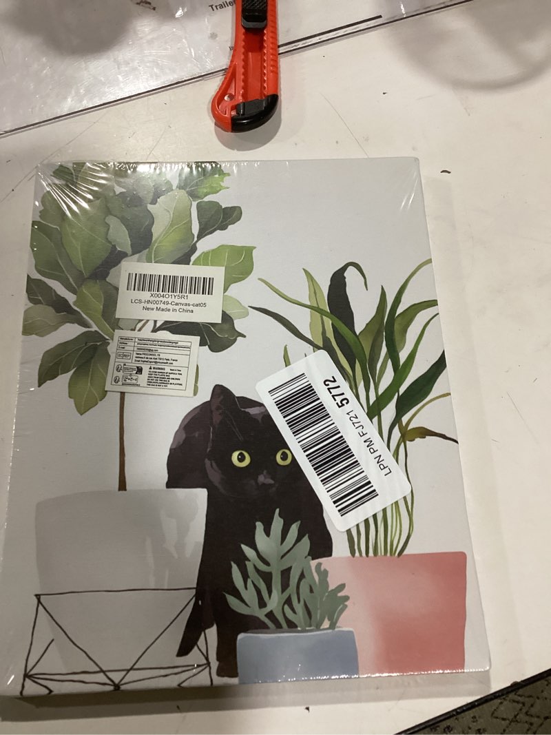 Condition photo showing New/Like New for cute cat botanical framed wall art, green leaves plants boho wall art canvas paintings wall decor unique gifts and cat lover prints picture for dining room living room kitchen farmhouse decor-1 lcs multicolour 1843