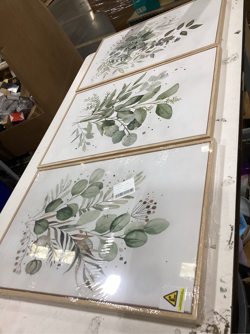 Condition photo showing New/Like New for sage green botanical wall art set of 3, modern watercolor eucalyptus leaf canvas prints, minimalist boho floral wall decor for bathroom bedroom office, wood framed 12x16 inch ready to hang sage green framed 16x12