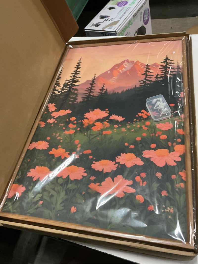 Condition photo showing New/Like New for Tinonedraw Large Boho Mountain Framed Canvas Wall Art Set of 3, Colorful Wildflower Daisy Flowers Wa