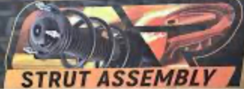 strut assembly for unknown car
