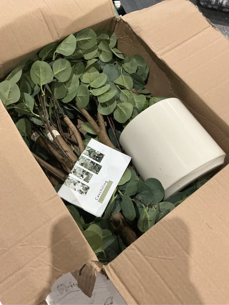 Condition photo showing As Is for caxchiling artificial eucalyptus tree 6ft, fake tree for indoor outdoor, lifelike faux large floor plants with heavy trunk with vines and moss topper, home office decor for living room bedroom doorway eucalyptus 6ft
