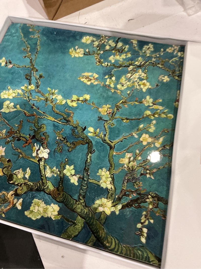 Condition photo showing Good Condition for set of 4 heat resistant cork placemats for dining table with free set of 4 matching drink coasters van gogh masterpieces design 16 x 12 inches cork backed hard placemats (floral van gogh)