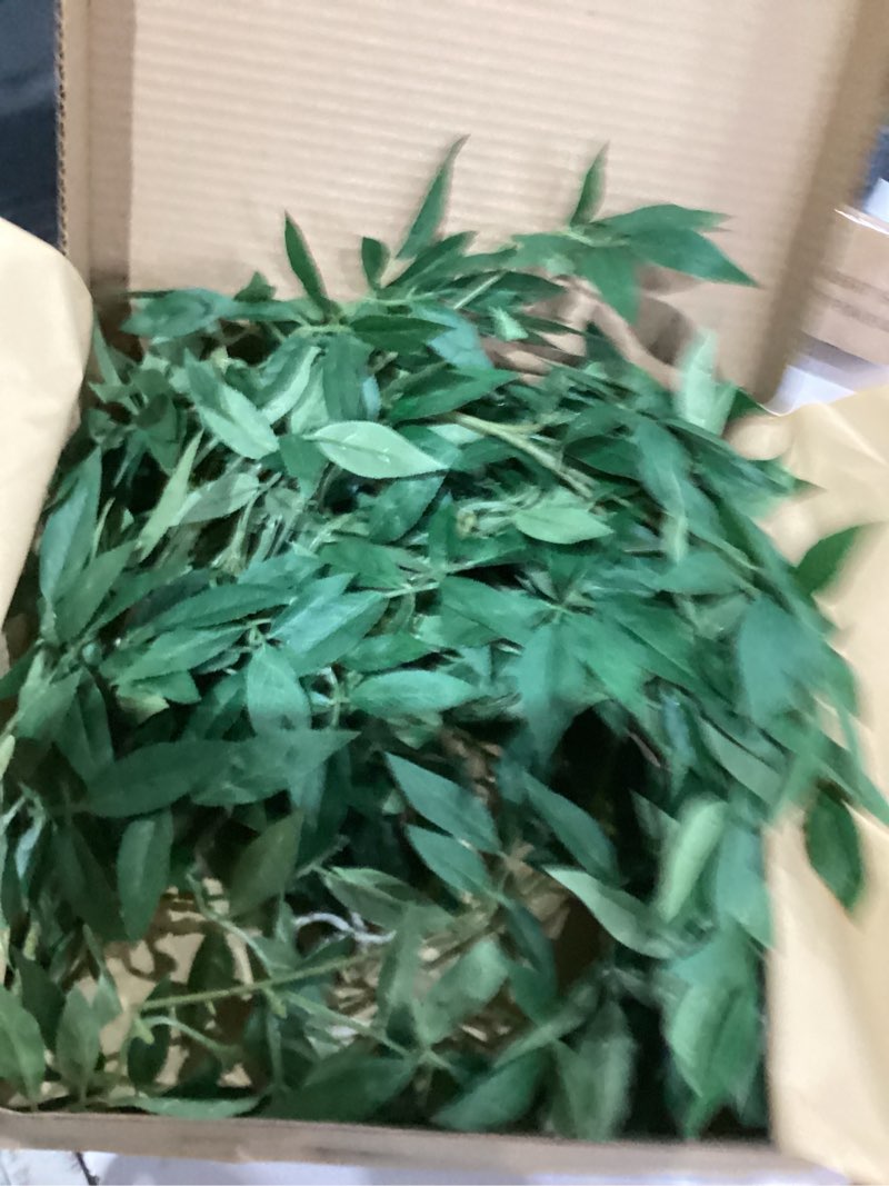 Condition photo showing Good Condition for Ling's Moment Rosa Banksiae Artificial Vines, Pack of 7 Silk Greenery Garlands with Hanging Faux Laurel Leaves for Table Centerpieces, Wedding Arches & Floral Filler Arrangements