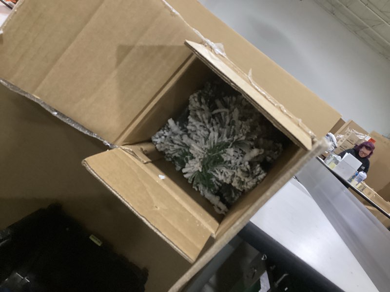 Condition photo showing Good Condition for National Tree Company Pre-Lit Artificial Christmas Tree, Snowy Downswept, Green, White Lights, Includes Stand, 2 Feet 2ft Tree