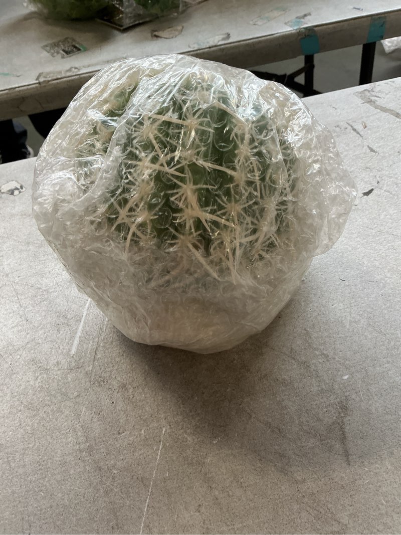 Condition photo showing New/Like New for Exo Terra Barrel Cactus Reptile Terrarium Plant, Medium