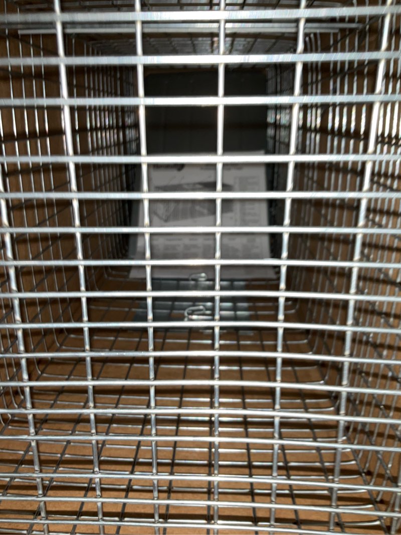 Condition photo showing Good Condition for havahart 1079sr large 1-door humane catch and release live animal trap cage - live raccoon trap, for bobcats, beavers, dogs, & more