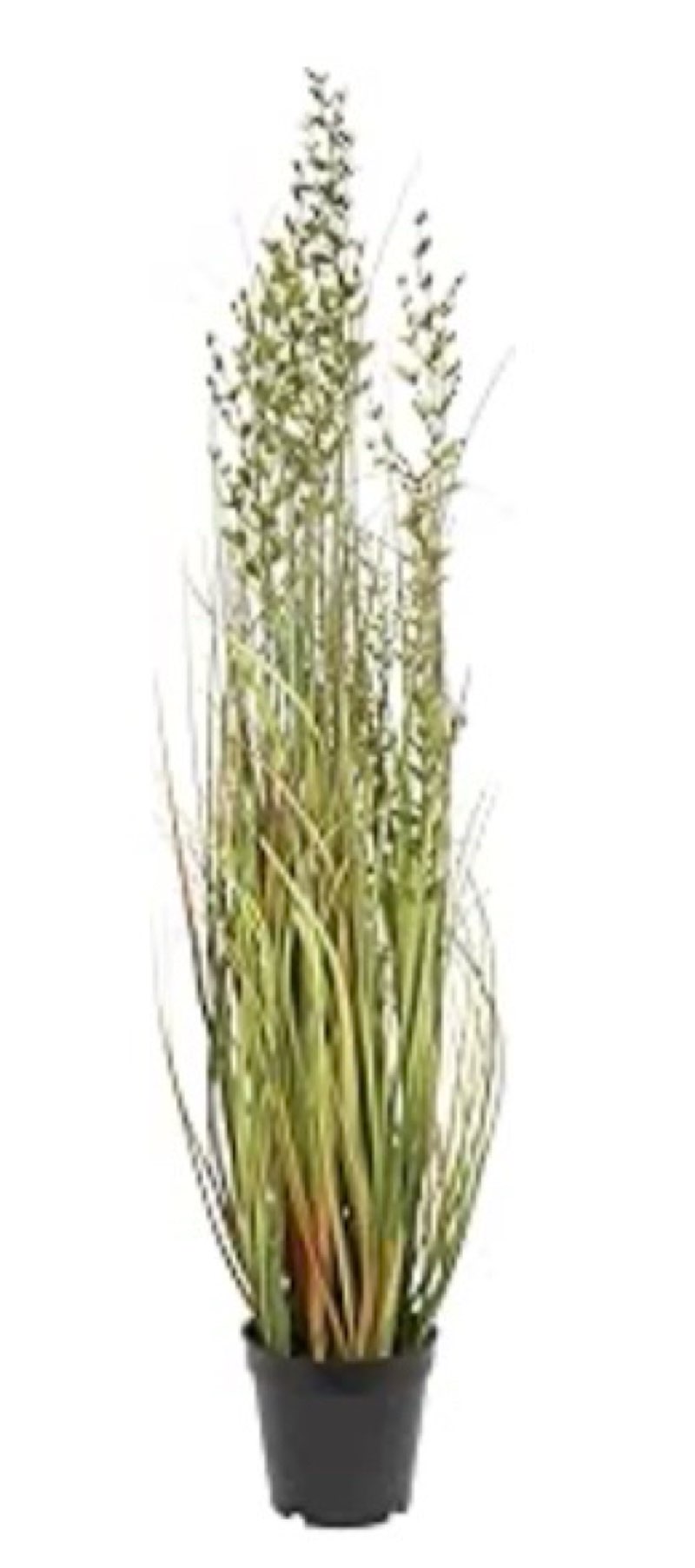 Pack of 2 Store Vickerman Everyday 36\" Artificial Green and Brown Grass with Black Plastic Pot - Faux Grass Plant Decor - Home Or Office Indoor Greenery Accent