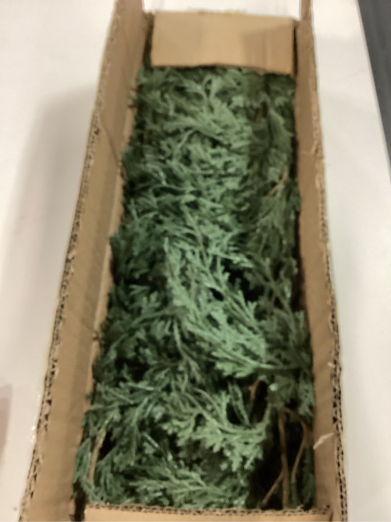 Condition photo showing Good Condition for 6FT Cedar Garland, 144 Tips Real Touch Christmas Garland, Artificial Winter Pine Garland for Mantle Table Stairs Wall, Outdoor Christmas Decorations Indoor Greenery Garlands Holiday Decorations 1Pcs-6Ft-144Tips