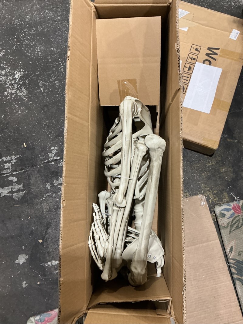 skeleton decoration