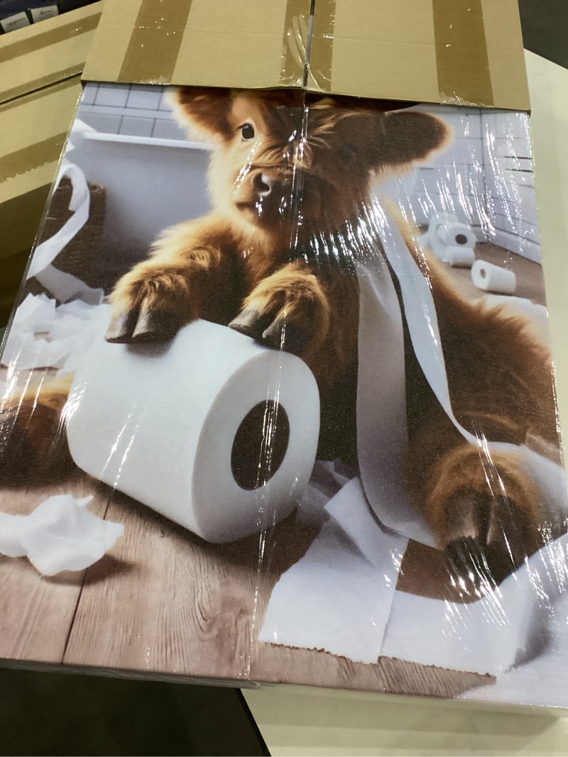 Condition photo showing Good Condition for Framed Funny Highland Cow Canvas Wall Art Set of 3, Cute Bathroom Animal Wall Decor Paintings, Rustic Cow Pictures Prints Farmhouse Home Decor for Restroom Toilet 16x24 inch Highland Cow 24L" x 16W"
