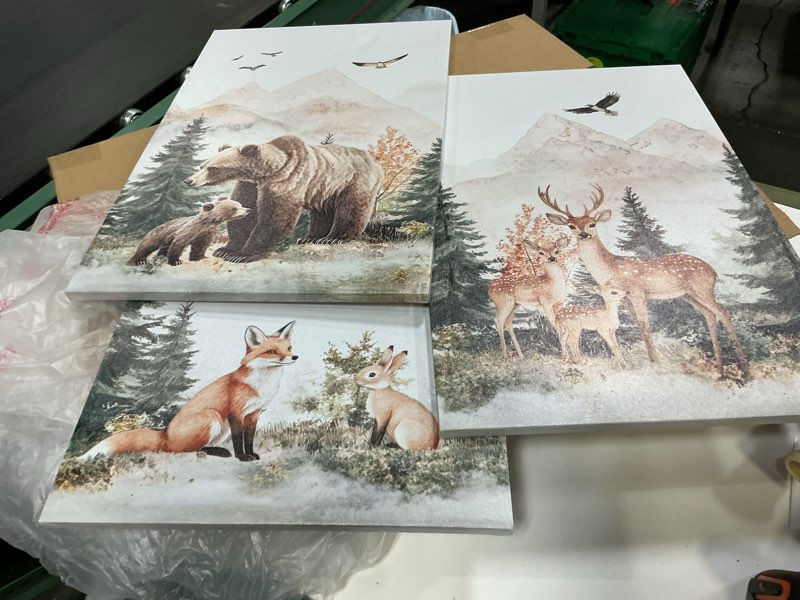 Condition photo showing Good Condition for ( similar ) gubiyu woodland animal prints,boy nursery decor boy woodland nursery prints,forest animals print,forest mountain nursery wall art, woodland nursery decor nursery wall art for bedroom aesthetic 16\"x24\" woodland forest pictures a004 24\" x 16\"x 3 pcs ( 60cm x 40cm x 3 panel )