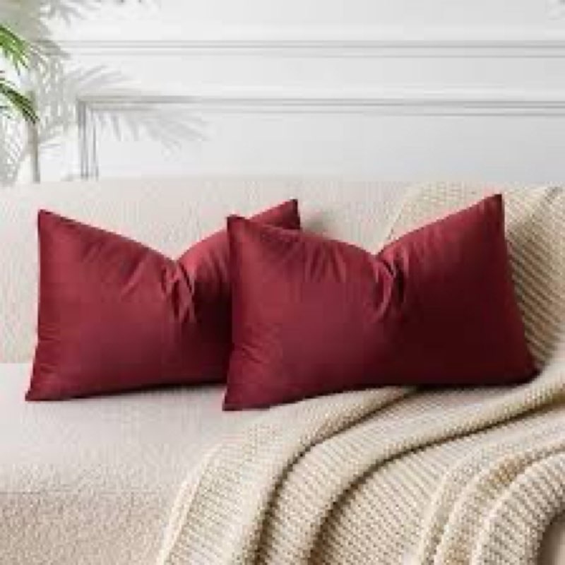 JUSPURBET Throw Pillow Covers Set of 2 Decorative Velvet Pillow Covers for Couch Sofa Bed Soft Euro 