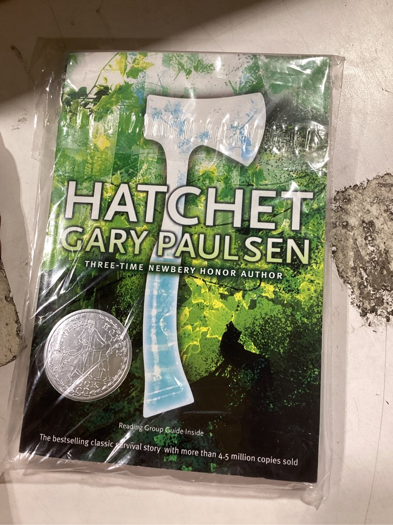 Condition photo showing New/Like New for hatchet