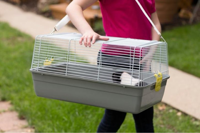 universal travel carrier - multipack