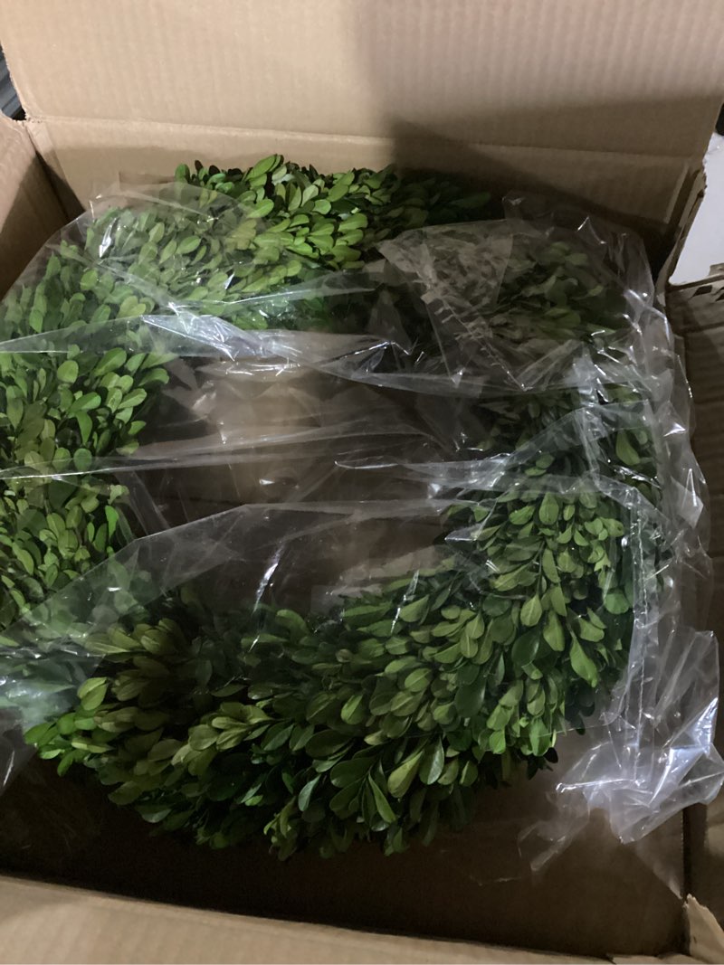 Condition photo showing New/Like New for Preserved Boxwood Wreath 16 inches Home Decoration Full Green Indoor Décor for Halloween, Christmas Wedding All Seasons Home Decor (Wreath, 16") Wreath 16"