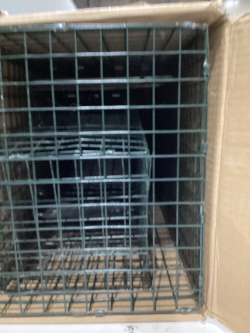 Condition photo showing New/Like New for HOMESTEAD 2-Pack Live Animal Trap - Specialized for Raccoons, Opossums, Groundhogs, Skunks, Feral Cats, Squirrels - Heavy Duty Steel Traps, 1-Door, Green, Humane Catch & Release Animal Trap,89-302 24 inch & 32 inch