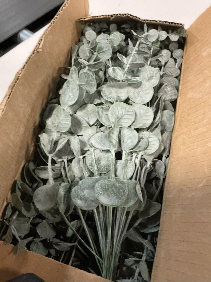 Condition photo showing Good Condition for Giegxin 180 Pcs 3 Kinds Mixed Eucalyptus Leaves Stems Bulk Artificial Silver Dollar Leaves Picks Dried Eucalyptus Bundle Faux Spray for Wedding Vase Bouquet Floral Arrangement (Green) Green 180