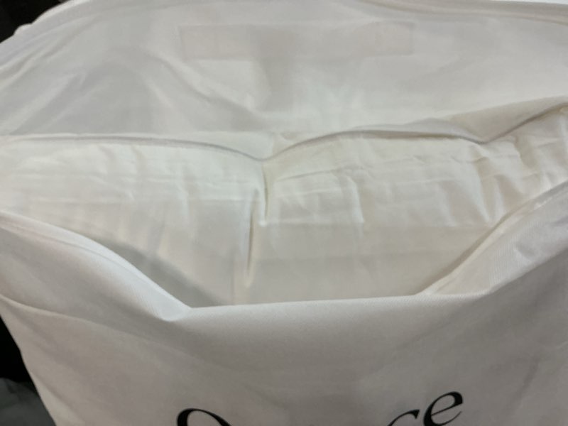 Condition photo showing Good Condition for luxe goose down pillow(standard)