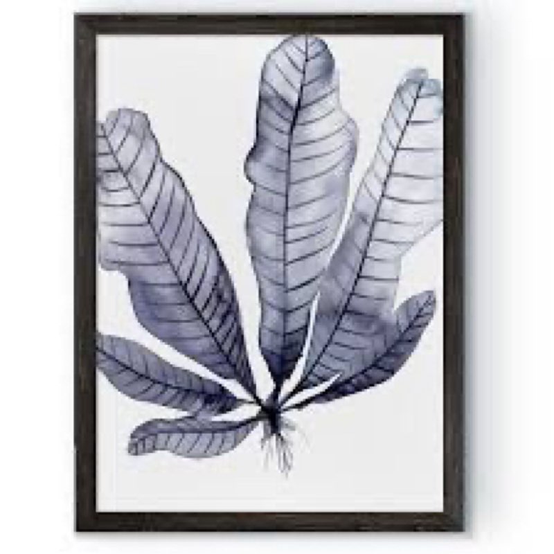 'Living Under Sea II' -  Picture Frame Painting Format: Maple Framed Paper, Size: 38" H x 28" W x 1.25" D