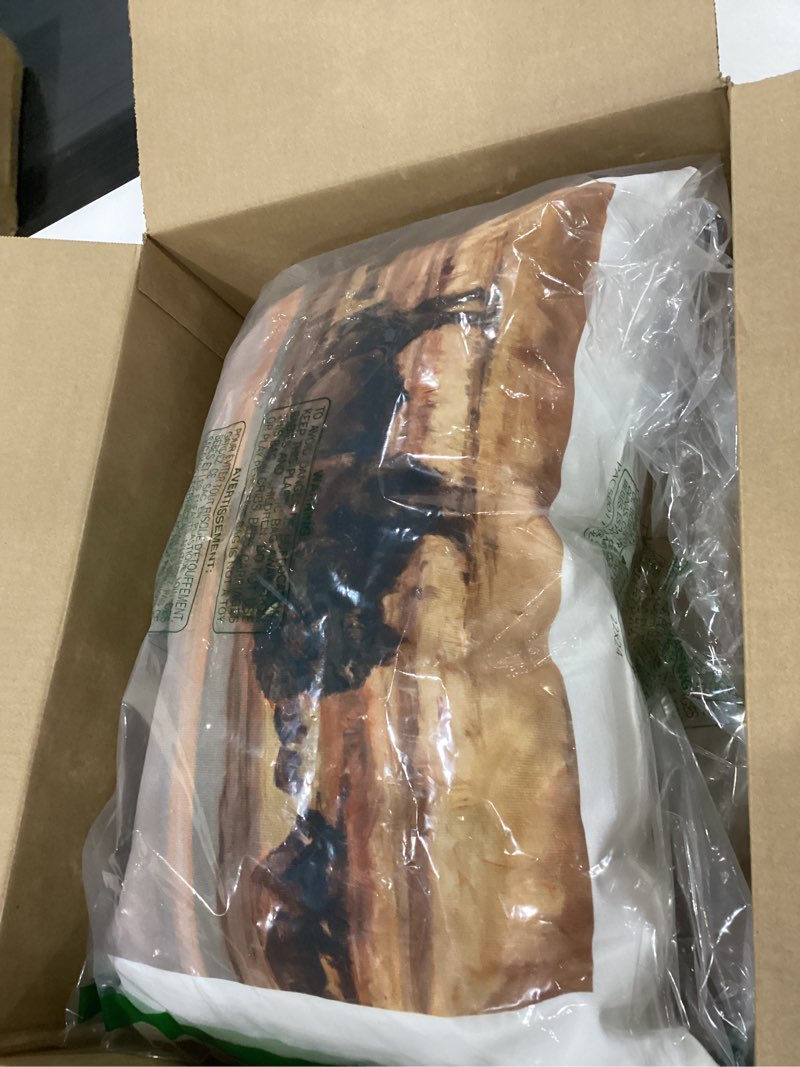 Condition photo showing Good Condition for Stupell Industries Bison Herd in Countryside Design by Ethan Harper Indoor Printed Throw Pillow, 14 x 7 x 20, Brown