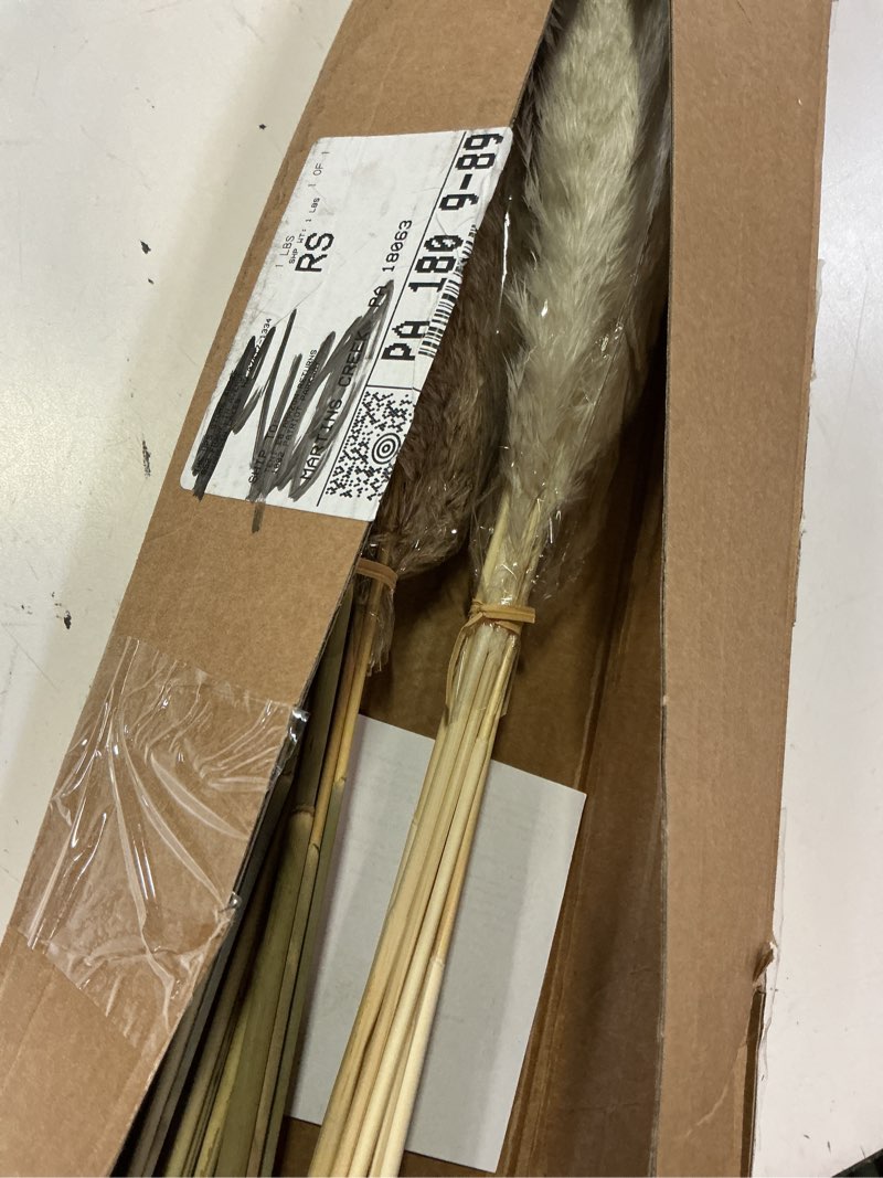Condition photo showing Good Condition for 28" inch 20 stems large pampas grass decor - fluffy brown & white pampas grass decor tall pompas grass for floor vase - boho home decor wedding decor natural flower bouquet 20pcs 10brown & 10white