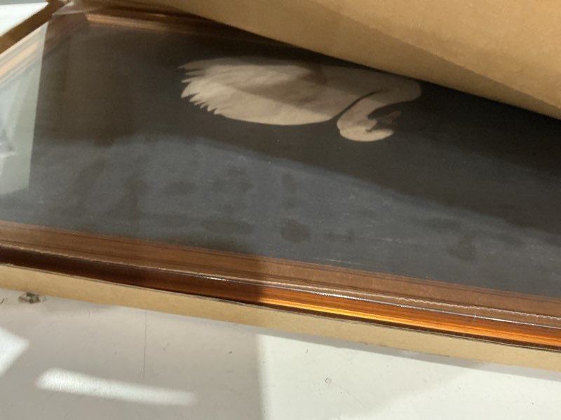 Condition photo showing Good Condition for gold framed wall art vintage canvas wall art grace swan rustic animal artwork prints picture for living room bedroom farmhouse bathroom office decor, 16x24 20-white swan framed 16x24