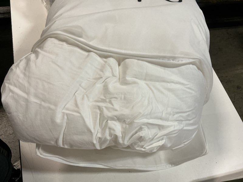 Condition photo showing New/Like New for quince luxe goose down comforter white all season full queen