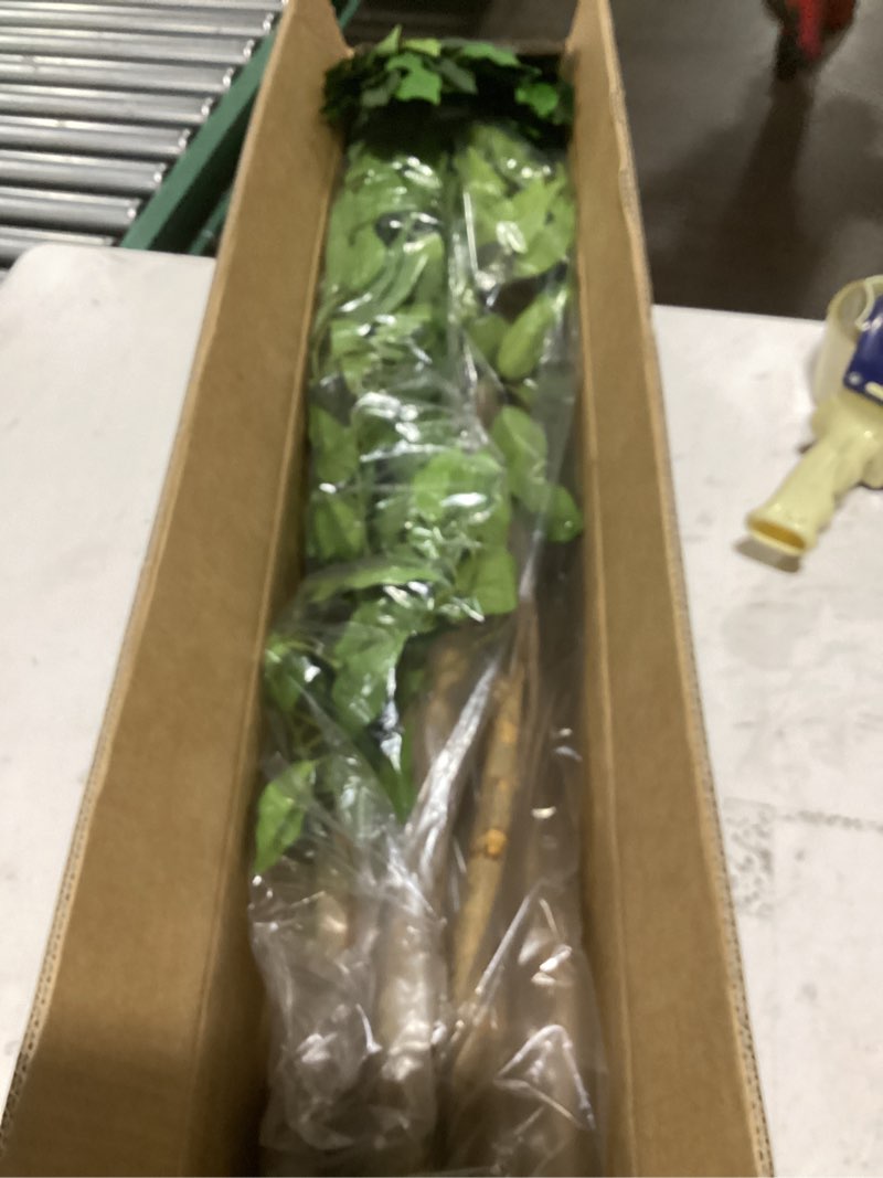 Condition photo showing Good Condition for haihong artificial ficus tree 5ft faux silk plants with sturdy plastic nursery pot,fake ficus trees for home office farmhouse indoor outdoor decor perfect housewarming gift (5ft-1pack) 5ft-1pack ficus tree