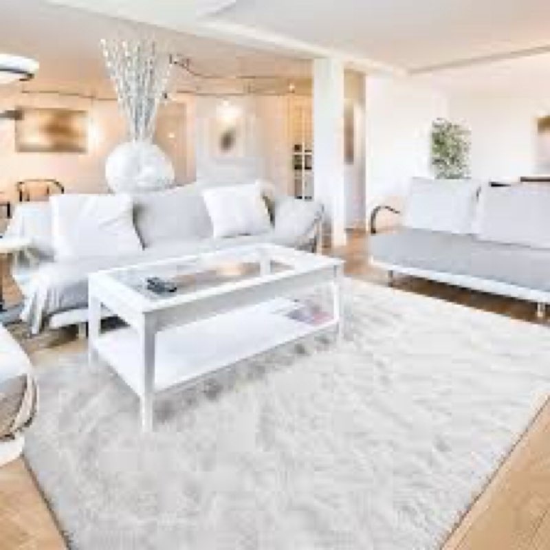 Terrug White Fluffy Area Rug for Living Room, 5x7 Ft Tie-Dyed Shag Throw Rugs, Soft Machine Washable