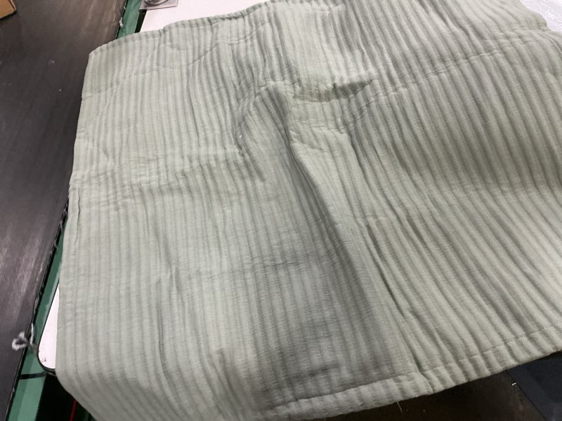 Condition photo showing Good Condition for organic cotton matelasse euro sham, euro, dried sage