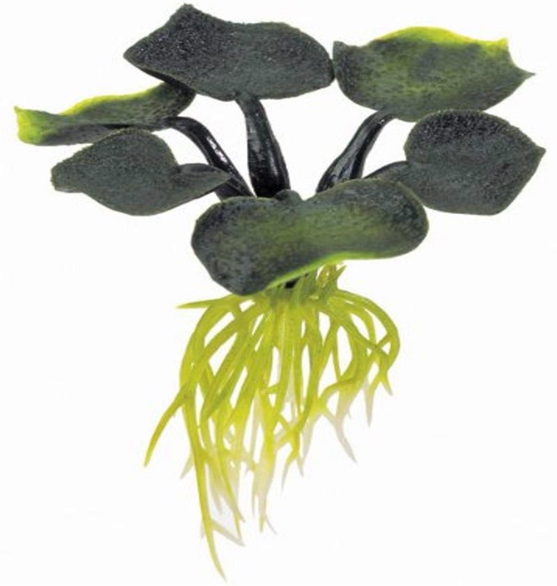 Assortment of small pet items, miscellaneous small, variety of items multiple pieces, 5 pieces total