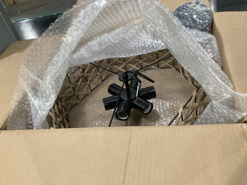 Black/beige ceiling fixture