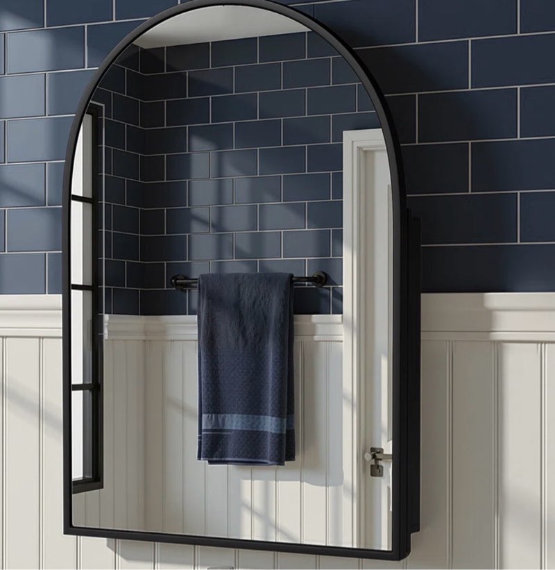 elmira 24''w 36'' h recessed & surface medicine cabinet mirror