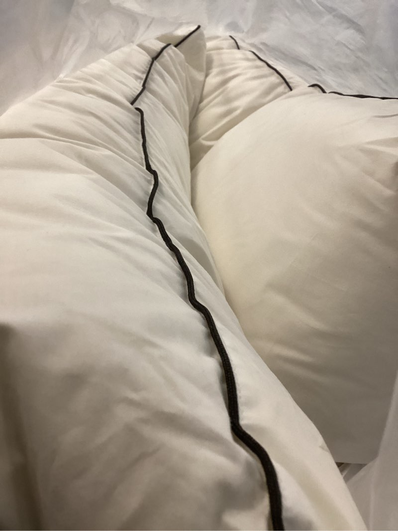 Condition photo showing Good Condition for goose down pillows king size set of 2, luxury hotel collection bed pillow 2 pack, airyfil™ powered fillings & feather pillow?soft fluffy for side, back, stomach sleepers 20"x36" medium(2pack) king