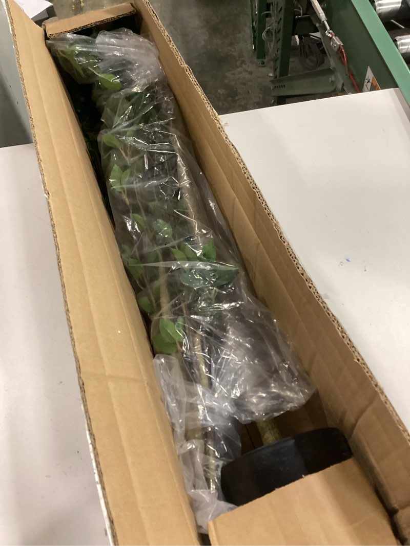 Condition photo showing New/Like New for Bellacat 5ft Artificial Minimalist Citrus Tree with Lifelike Leaves, 60in Faux Citrus Tree with Realistic Trunks, Faux Tree Indoor Outdoor for Home Office Living Room Bedroom Porch Decor. Basic Pot 5ft