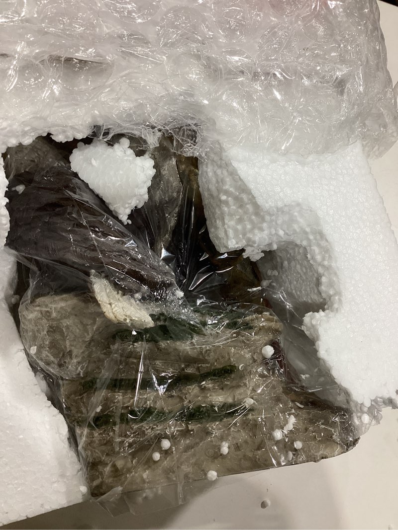 Condition photo showing Good Condition for ICE Armor 17" H Indian Warrior with Eagle Statue Native American Decoration Figurine Office Desk/Home/Living Room/Table Decor, Perfect House Warming Gifts for New Home Indian w/ Eagle Brown-17inch