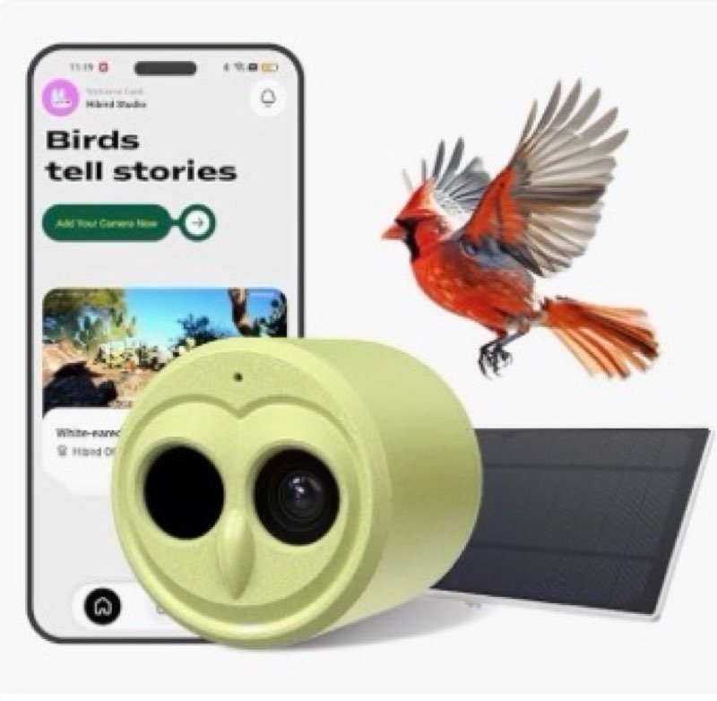 hibird 4k hd smart bird feeder camera solar powered, 2.4g/5g dual wifi wireless outdoor, 6x slow mot