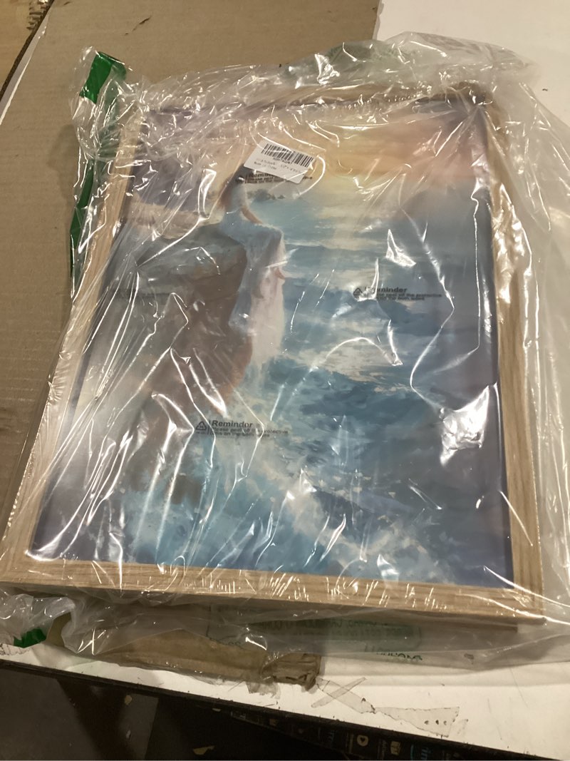 Condition photo showing Good Condition for Girl On The Shore Wall Art Prints The Little Mermaid Poster Canvas Art Wall Decor Picture For Bedroom Office Dorm Bathroom Wall Decor Aesthetic Home Artwork 12" × 16" With Framed 16"L x 12"W MK03.