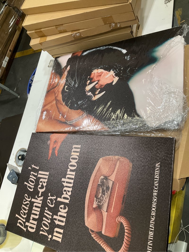 Condition photo showing Good Condition for please dont drunk call your ex in the bathroom posters minimalist room aesthetic canvas wall art funny pink telephone prints painting for home bedroom dorm wall decor 12x16in wooden frame feminism 4 wooden frame 12"l x 16"w