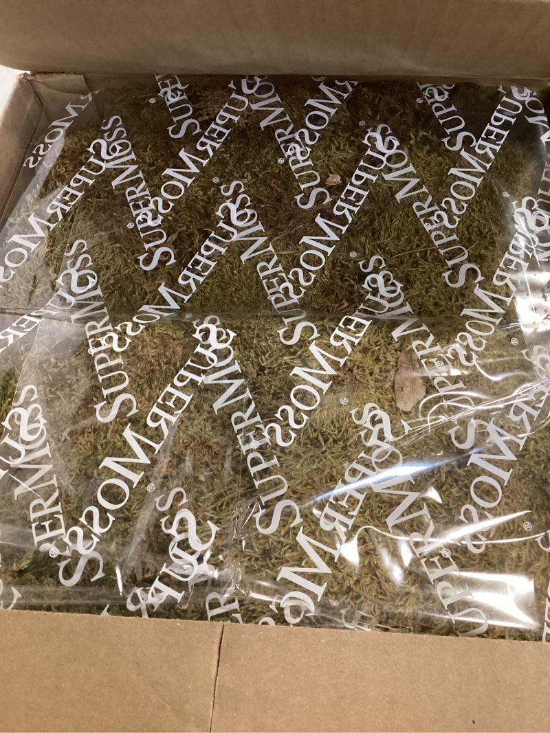 https://lotting-media.assets.bidfta.com/lotting_d404a33e-b268-4a31-8725-b7ae95d99e04