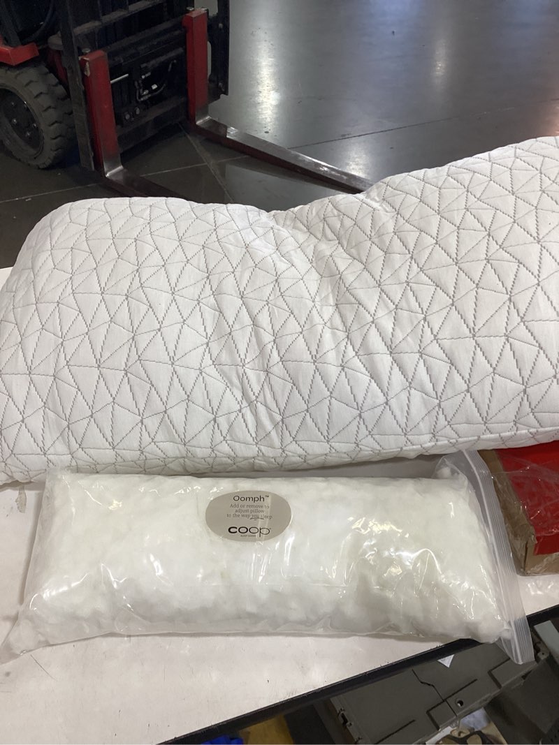 Condition photo showing As Is for coop home goods original adjustable pillow