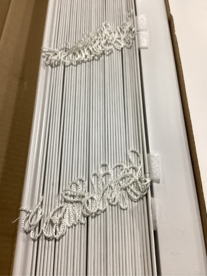 https://lotting-media.assets.bidfta.com/lotting_d4145490-7014-4eed-a68e-3597e1a7b1d3