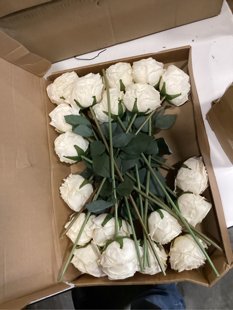 Condition photo showing Good Condition for suncalla 20 pcs artificial roses flowers bulk, vintage burnt edge silk fake roses with long stems realistic flowers for diy wedding valentines bouquet centerpiece home party decor(white)