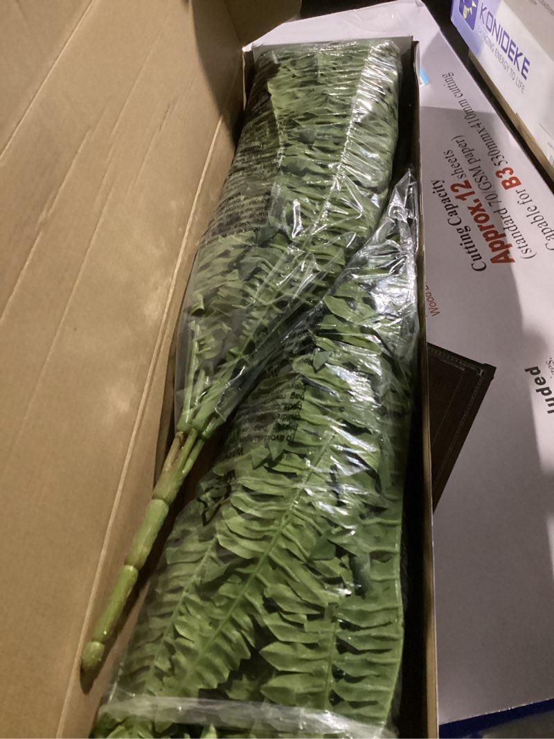 Condition photo showing As Is for 35" ferns artificial bush plants large, 2 artificial boston ferns with 39 fronds for outdoors home decor