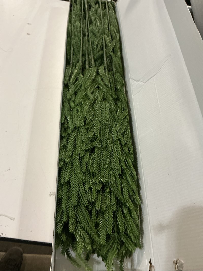 Condition photo showing Good Condition for 12 Pcs 30 Inch Artificial Norfolk Pine Stems Faux Christmas Greenery Pine Branches Realistic Fake Evergreen Cedar Pine Picks Winter Greens for Vase DIY Garland Wreath Holiday Home Decor 30INCH 12